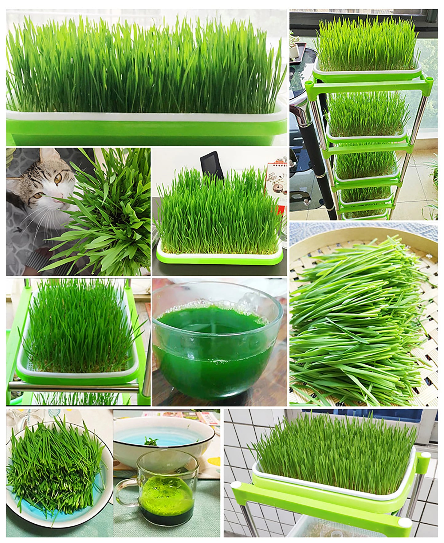 Seed Sprouter Tray Double Layer