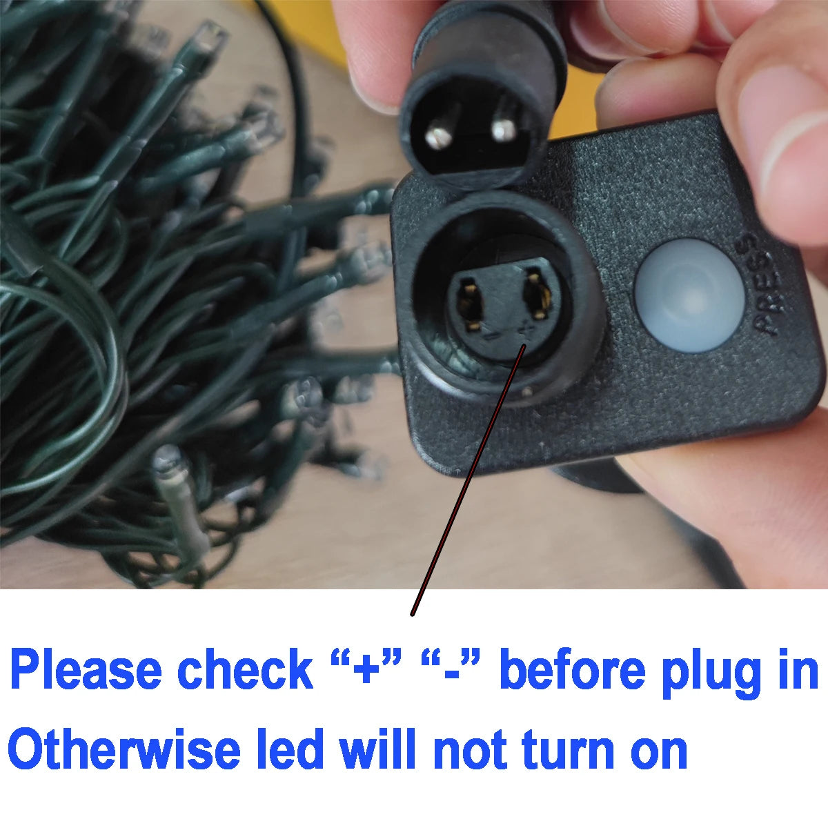 Holiday 24V LED Christmas Lights